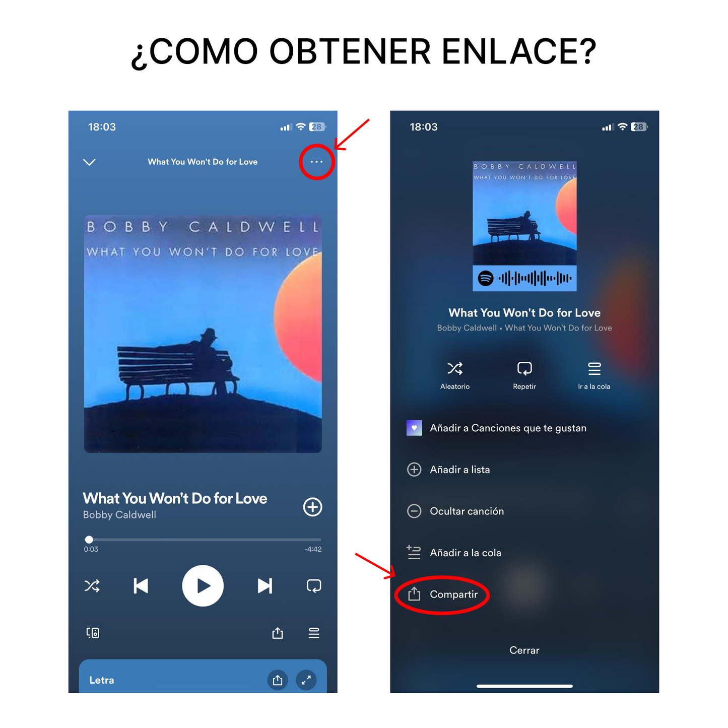 Llavero Personalizado Spotify